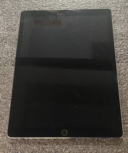 Apple iPad Pro 12.9-inch (2nd generation) 64 GB WiFi + 4G - Space Gray (Fair) - Afbeelding 1 van 3
