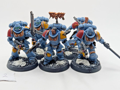 Warhammer 40k Space Wolves Intercessors Squad Painted Space Marines GW 40k