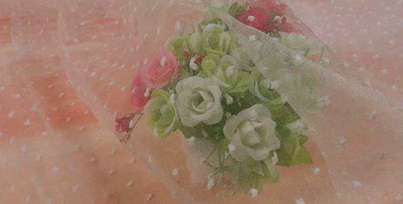 Tela de encaje lunares organza tela transparente para vestido de novia tutú falda por yarda Foto 4 de 4