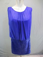 NWT ADRIANNA PAPELL Size 10 Womens Back Zip Mesh Sleeveless Sequined Dress 397