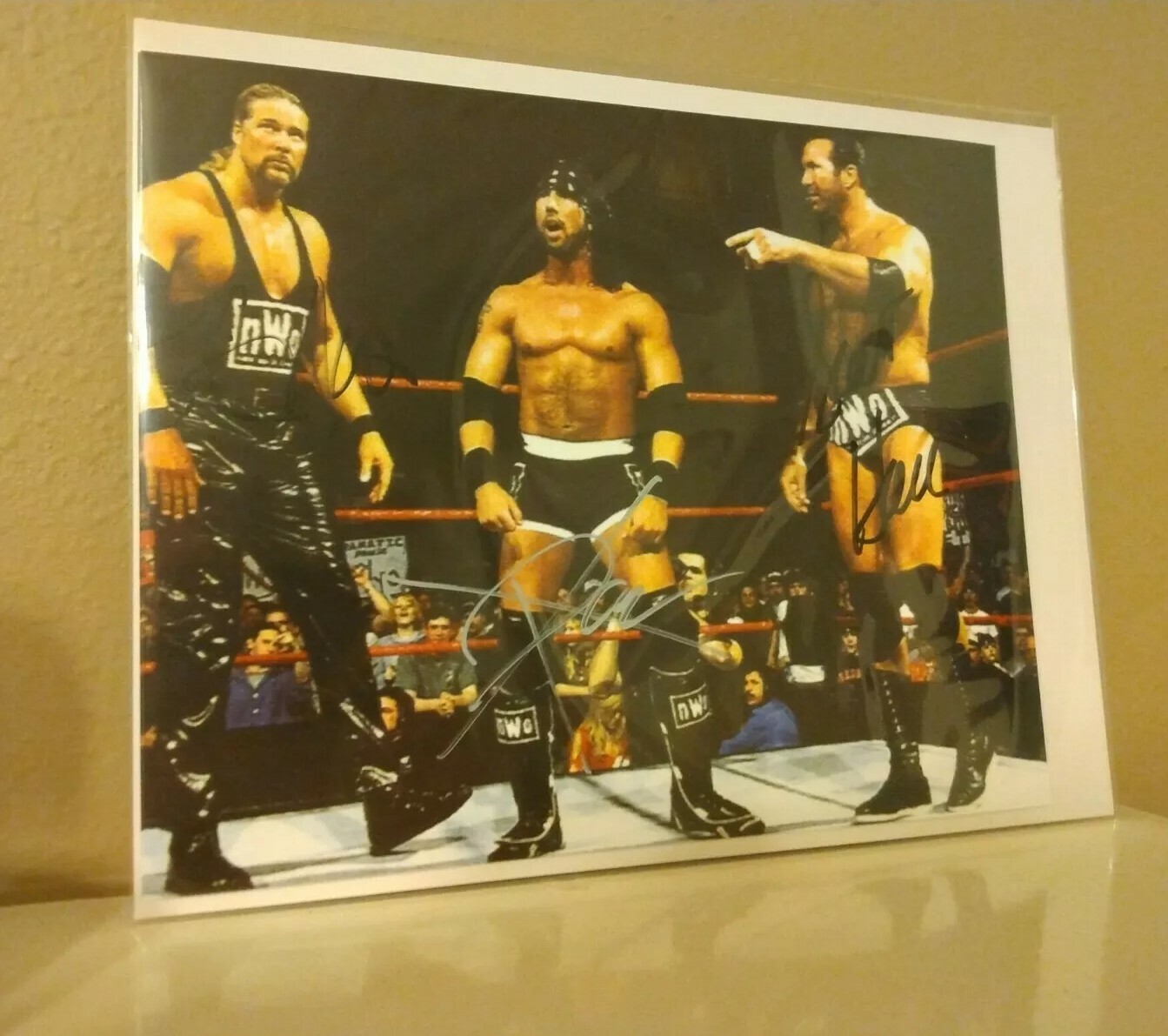 Scott Hall aka Razor Ramon, Kevin Nash, X-Pac REPRINT signed photo, WWE ...