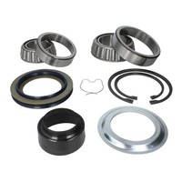 Reparatursatz, Radnabe SKF Vkba 2450