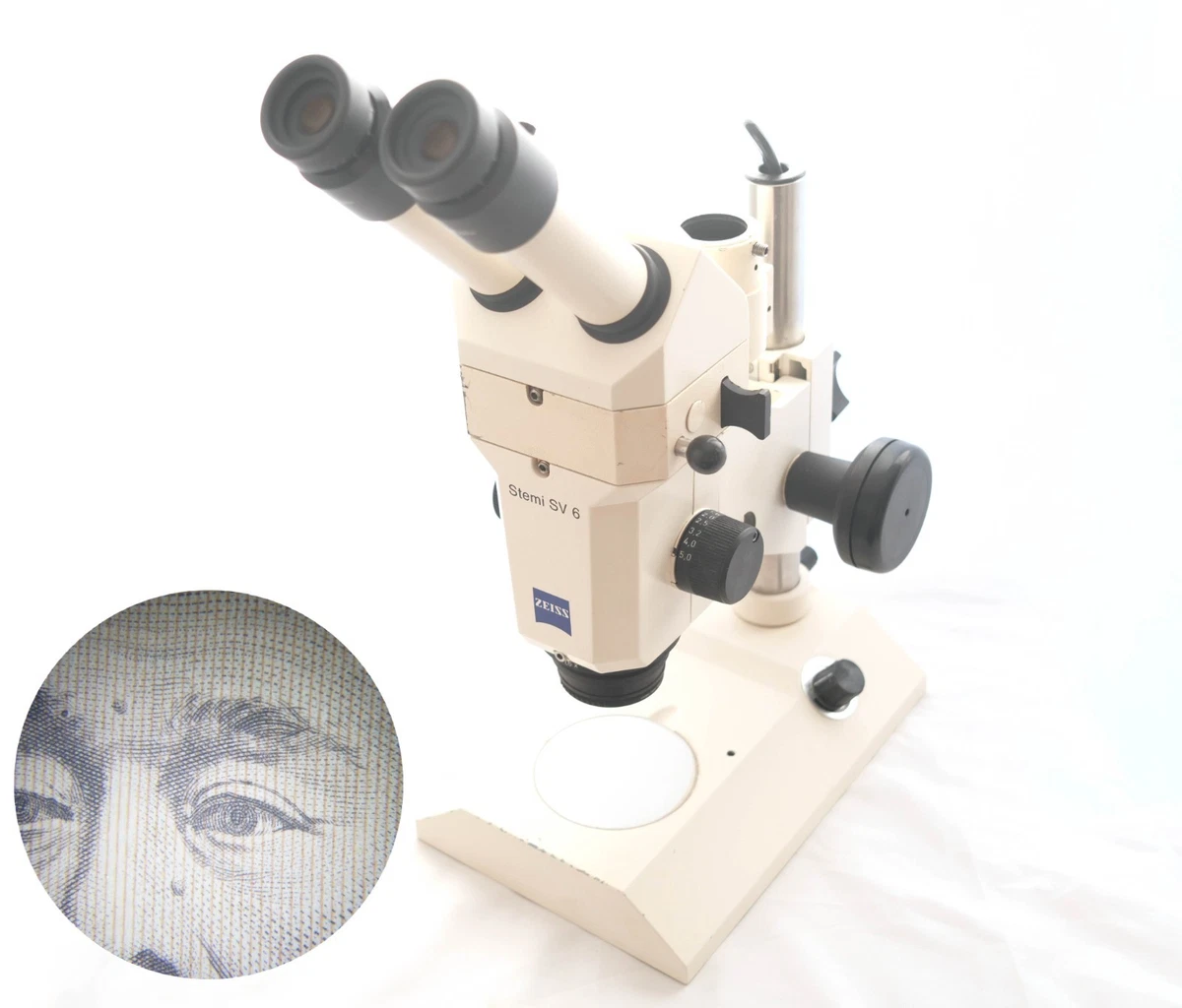 Zeiss Stemi SV6 ZOOM microscopio estéreo trinocular