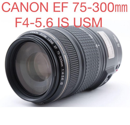 Canon EF 75-300 F4-5.6 IS USM With Image Stabilization