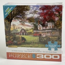 Old Pumpkin Farm 300 XL Piece Dominic Davison Eurographics Family Puzzle  NEW