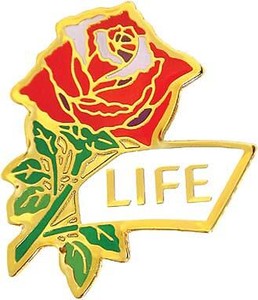 Authentic Life Rose, 14K Gold Plated Jewelry, Lapel Pin