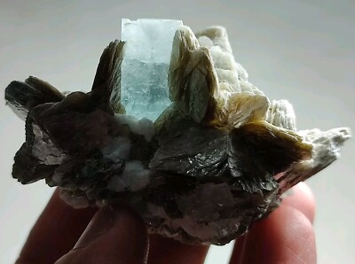 Aquamarine Gemmy Crystal Combined With Muscovite Mica-Nagar Valley,Pak.
