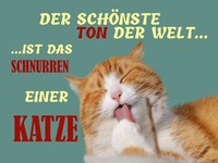 Holzschild 30X40 Cm SchöNste Ton Ist Katzenschnurren Deko Geschenk Holz Schild