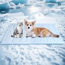 Dog Cooling Mat Summer Plush Warm Blanket Winter 2Sided Reversible 36x23 Inch