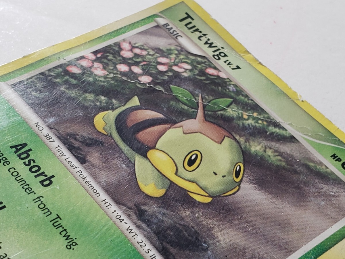 PROMO Turtwig 17/17 DMG B1G1F - POP SERIES 9 Pokemon Card - Midori