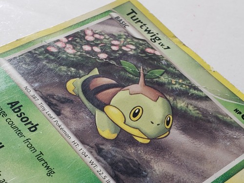 PROMO Turtwig 17/17 DMG B1G1F - POP SERIES 9 Pokemon Card - Midori Harada Art - Picture 2 of 3