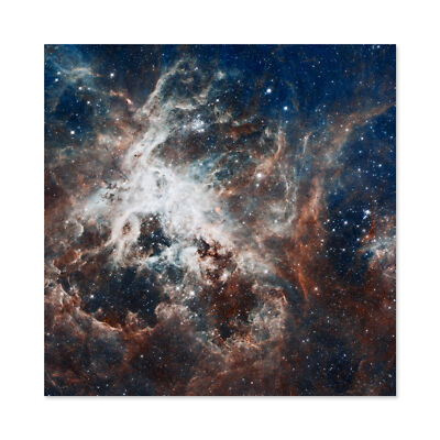 Space Nasa Esa Hubble Tarantula Nebula Wall Art Canvas Print 24X24 In