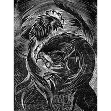 Vintage Illustration Fighting Cocks 12X16 Inch Framed Art Print