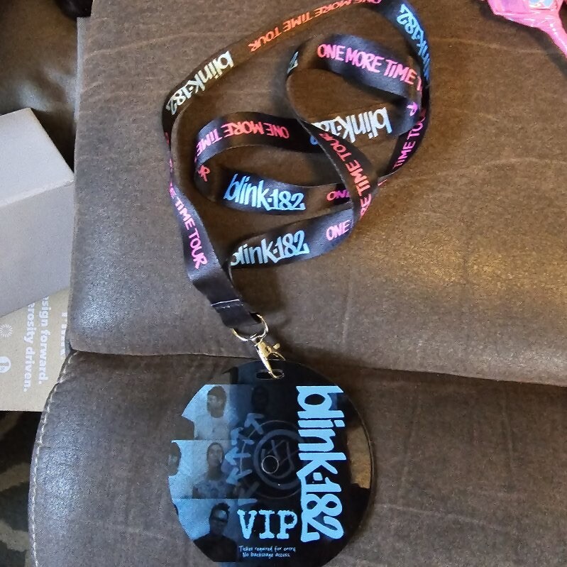 Blink 182 2024 Tour VIP BUNDLE: guitar pick token set passes 
