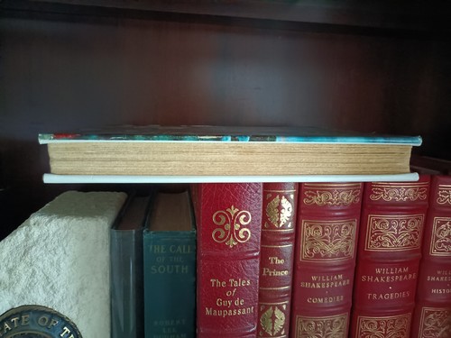 Fort of Gold_Eilis Dillon_HCDJ_1st Edition_1961_Ex-library_Very Good - Picture 11 of 12