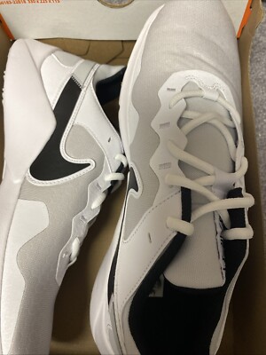 Nike Legend Essential Men's Training Shoes CQ9356 002 Platinum