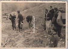Foto, Serben bei der Zwangsarbeit, 1941 Serbien D/81