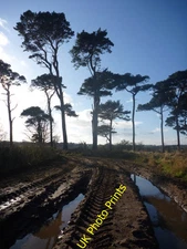 Photo 6x4 East Lothian Landscape : Off-road Near Hedderwick Hill West Bar c2016
