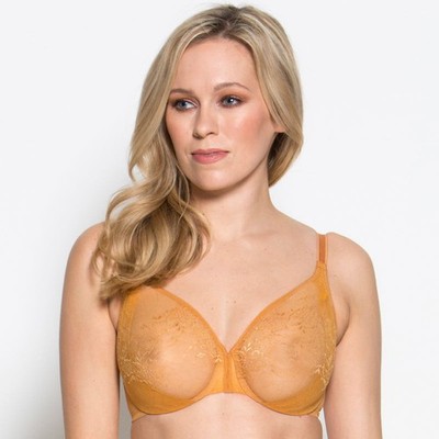 Gossard Glossies Lace Spiced Honey Bra Spiced Honey NWT Sheer Lingerie 13001