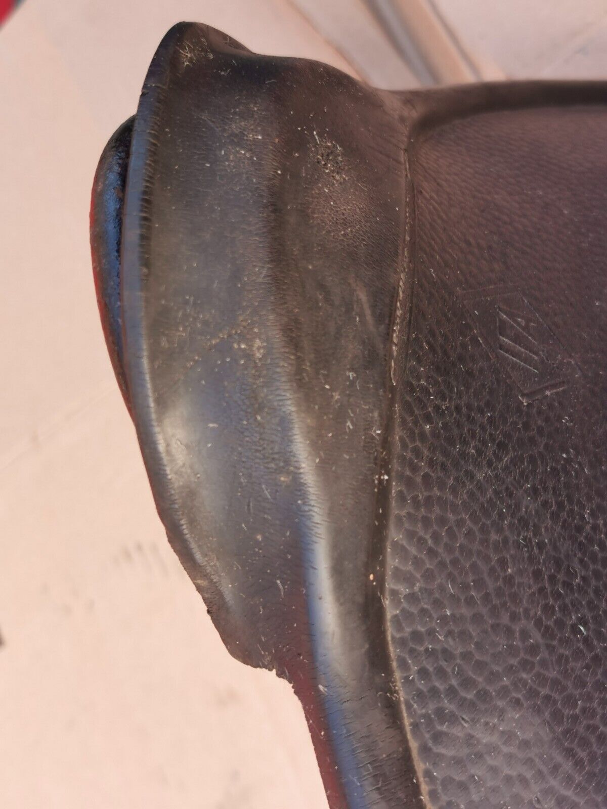 Picture 6 of 21