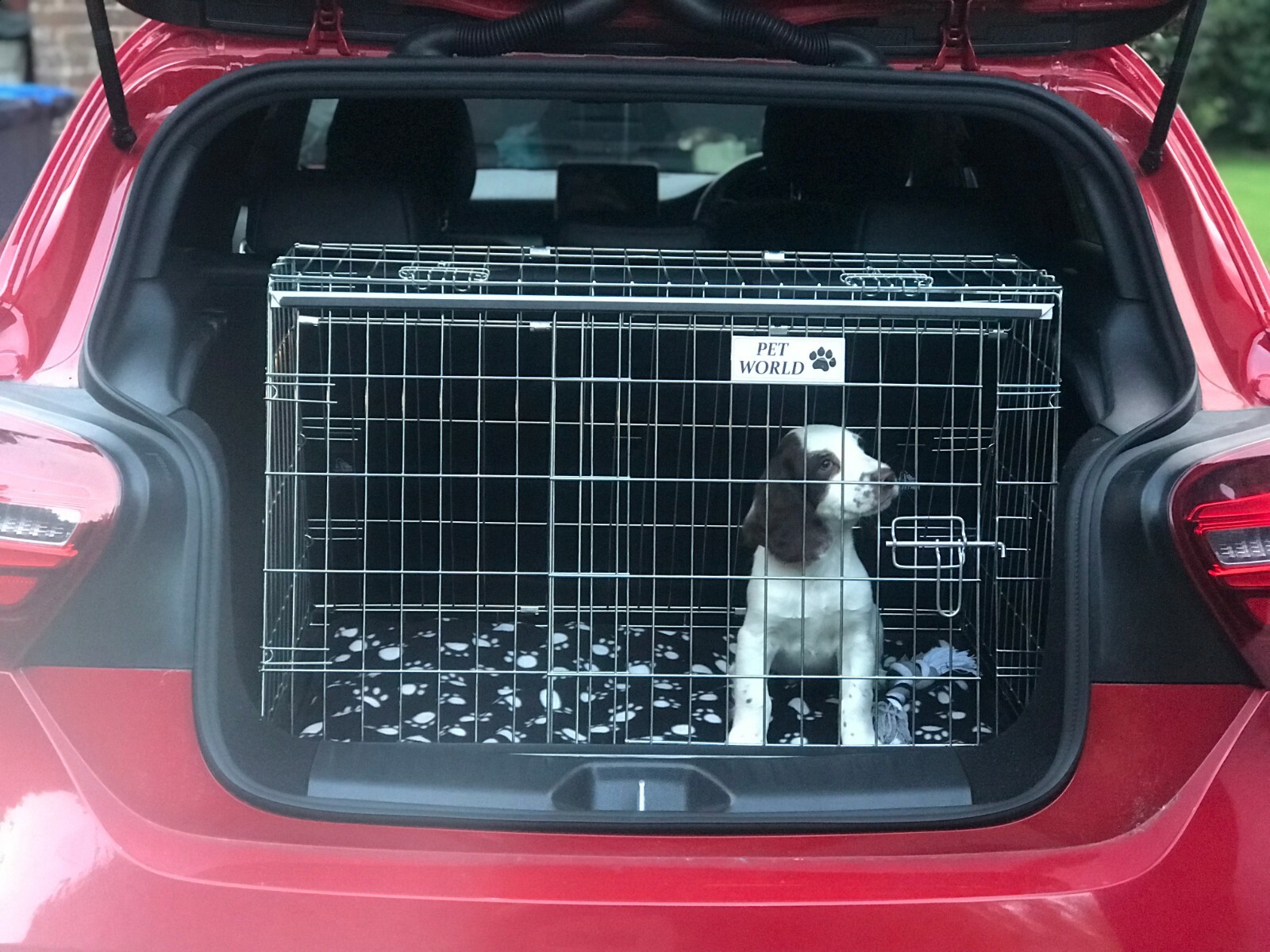 Sloping Dog pet puppy travel training cage crate for Mercedes A-Class