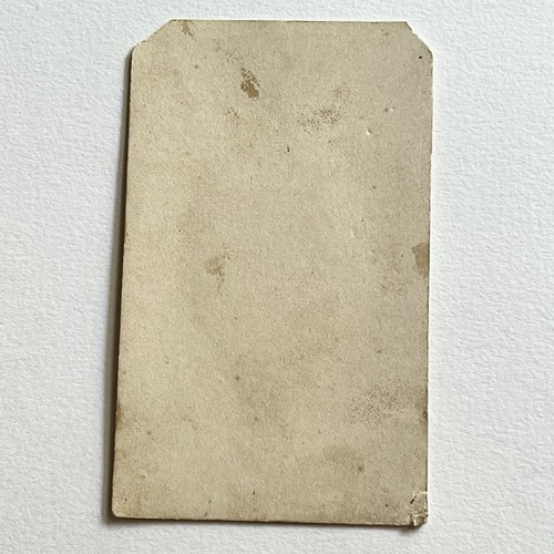 Fotografía antigua CDV encantador joven telón de fondo único de montaña - Imagen 6 de 7