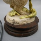 Foto 5 di 10