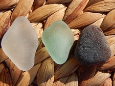 Sea Glass Genuine Surf Tumbled on a California Beach Lot of 3 Large Thick Frosty
