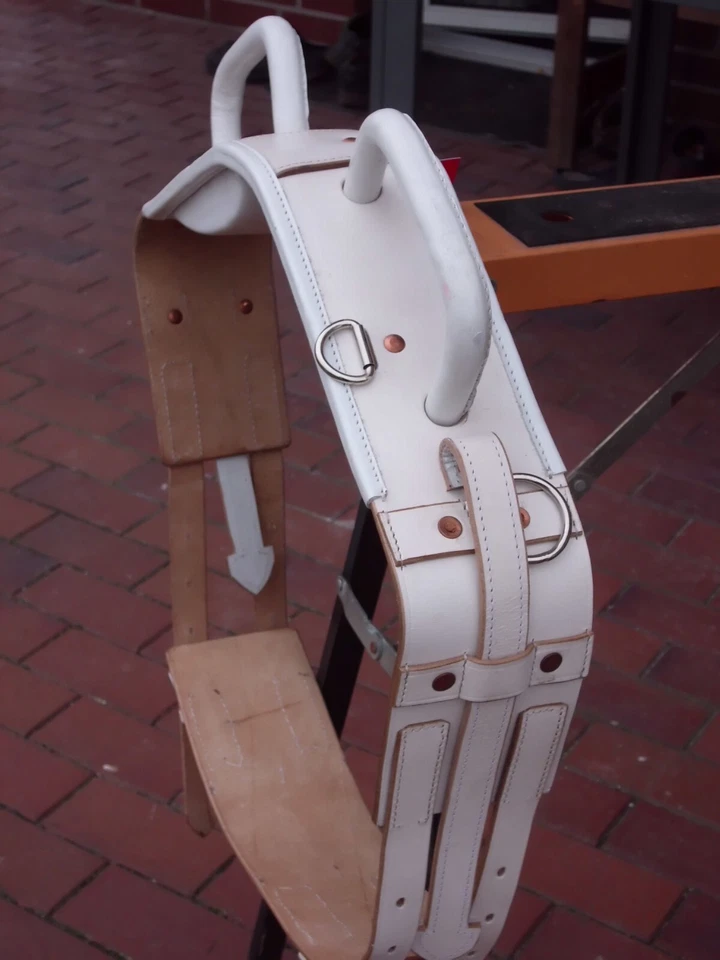 Voltigiergurt Leder m. Beinschlaufen festen Griffen Mini-Shetty -Warmblut 2-Wahl - Bild 2 von 4