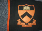 Vintage Princeton University Wool Felt Leather Pyrography Pennant VGC 11" by 29" — photo 5