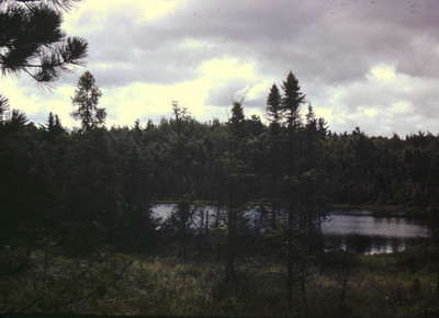 Kodak Slide 35mm 1940s Red Border, a small, secluded woodland bog or kettle lake