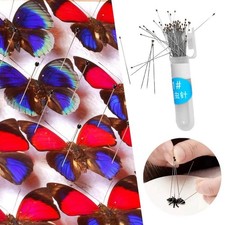 100x Butterfly Insect Pins Specimen Entomology Modelling School Steel C4X3