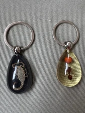 Pair of IVR Resin Plastic Real Insect Bug Key Chains - Large Ant and Scorpion