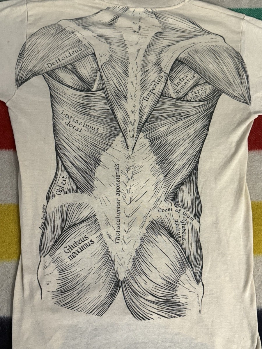 Vintage 70s Leslie Arwin Shirt Pat Bova Anatomical Chart Pectoral Muscle 1977 View 3