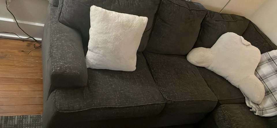 very beautiful Adelson Chenille 2-pc couch. no stains no dents. - Image 2 of 3