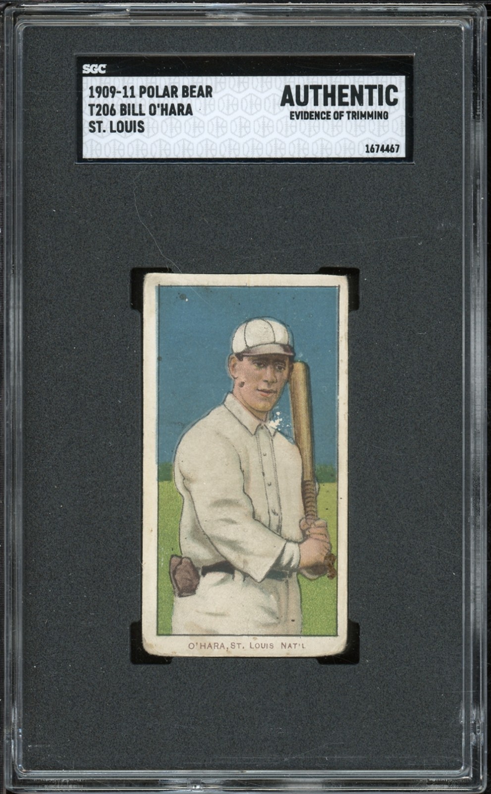 1909 T206 Tobacco O'Hara St. Louis Nat'l Polar Bear SGC Authenticated Baseball