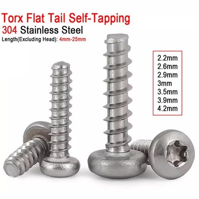 2.2mm-4.2mm 304 A2 Stainless Steel Torx Pan Head Flat Tail Self Tapping Screws
