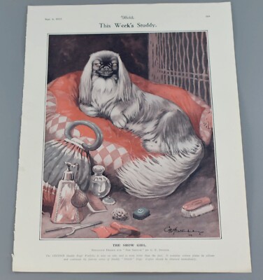 VINTAGE BONZO DOG THE SKETCH PAGE STUDDY PRINT c1920   THE SHOW GIRL