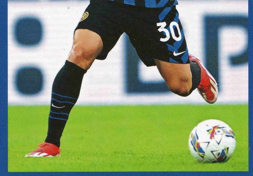 Figurine e card Inter Official Sticker Collec 2024-2025 Euro Publishing a scelta - 第 107/240 張圖片