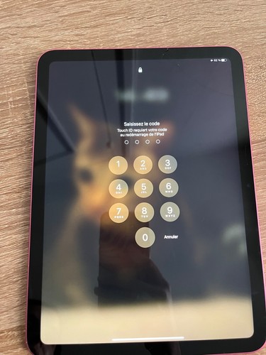 tablette apple ipad - Photo 8/9
