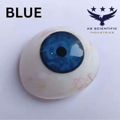 Real Prosthetic Eye Artifical 25 Eyes Mix Color Human Prosthetics With Box - Picture 5 of 8