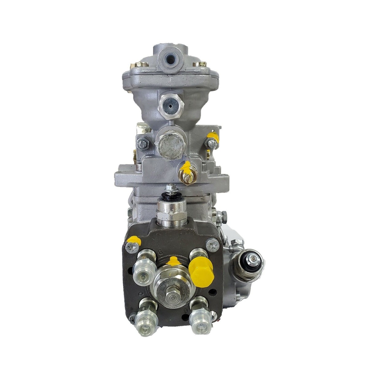 【CPC-L24】BoN Bison 28