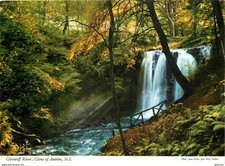 Carte Postale - Irlande du Nord - Antrim - Glenariff River - Northern Ireland -