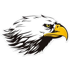 Bald Eagle Head - Vinyl Decal Sticker - Car Window Laptop - ebn7632
