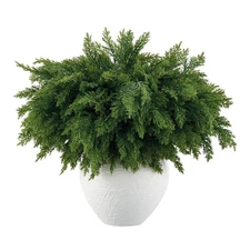 16 Pcs Real Touch Norfolk Pine Branch – 18" Artificial Christmas Green Plants...