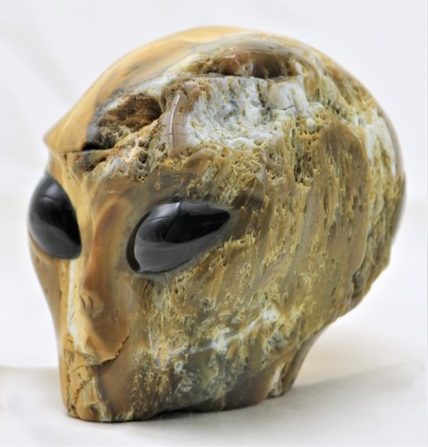 XL Unique PETRIFIED WOOD Carved ALIEN Head with LABRADORITE Gemstone Eyes - Picture 3 of 7
