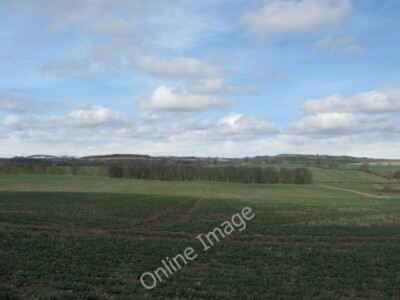 Photo 6x4 A young crop at Littledean Maxton/NT6130 In the Scottish Borde c2010