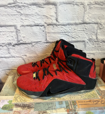 Nike LeBron 12 XII EXT Kings Cloak Red Paisley 2015 Size 11 Basketball Sneaker