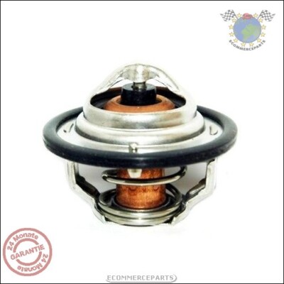 Thermostat Kühlmittel Meat Für Ford Fiesta Escort Consul Capri Hyundai Accent Ge