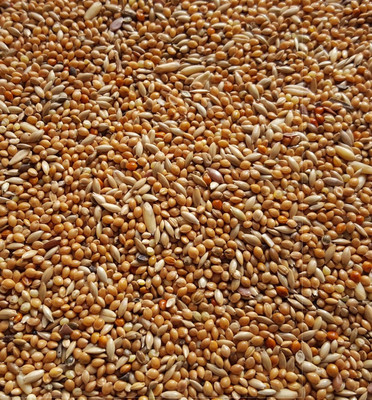Wellensittichfutter 5 kg Vogelfutter Sittichfutter